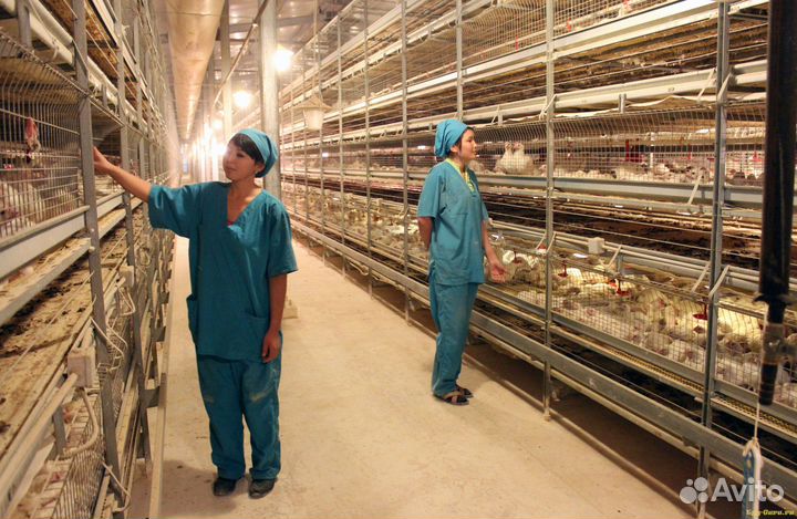 Подсобный рабочий