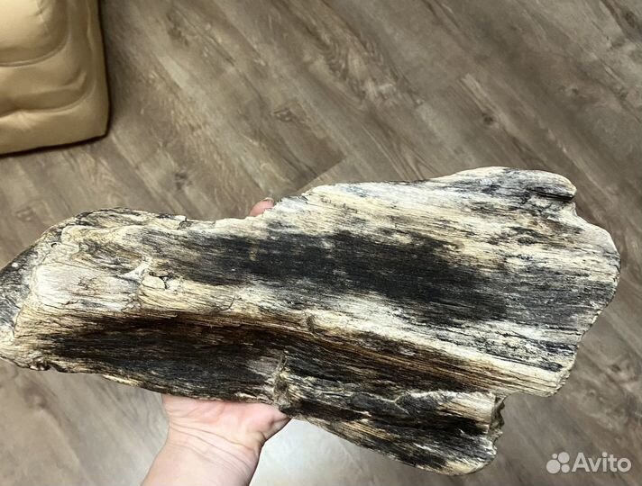 Дрифтвуд для рукоделия