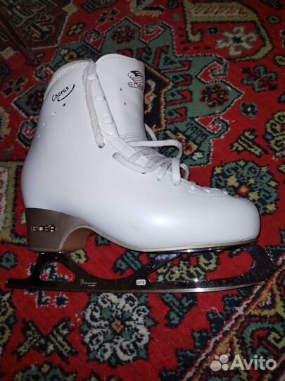 Коньки edea chorus 260