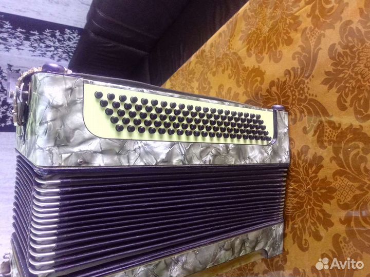 Баян немецкий