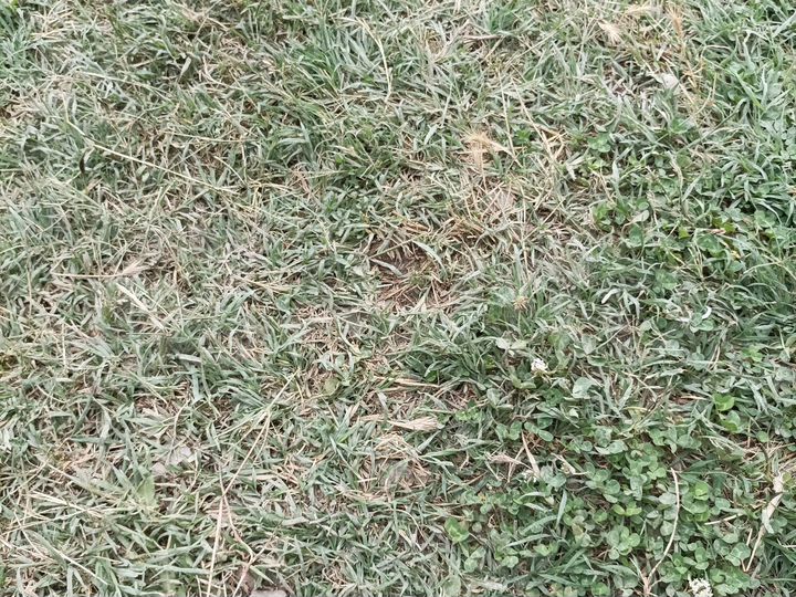 Участок 8 сот. (ИЖС)