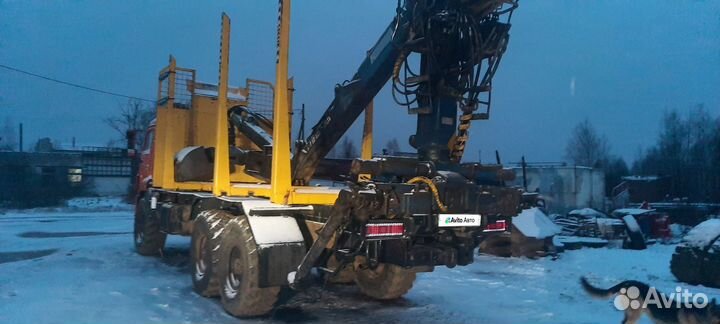 КАМАЗ 43118, 2010