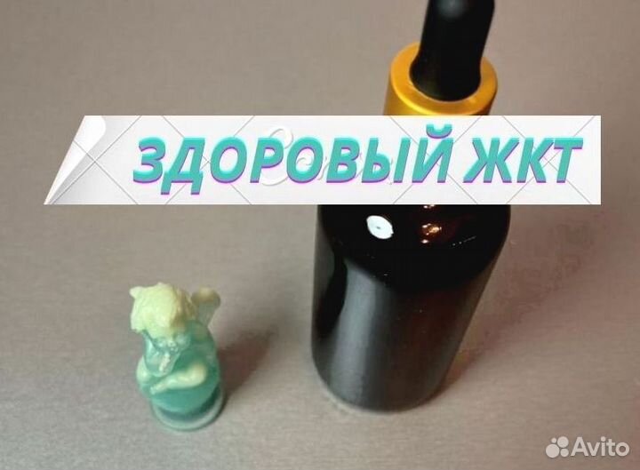 Экстракт желудок в норме