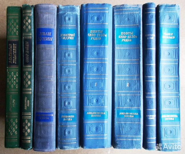 Библиотека поэта