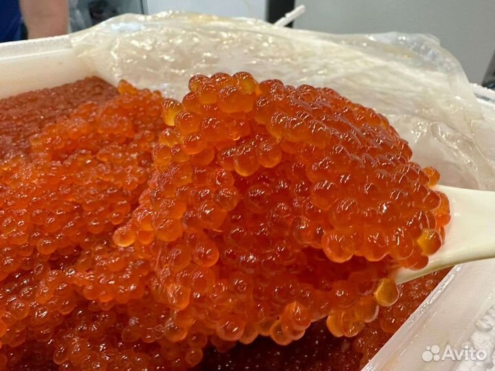 Красная икра оптом 2023г