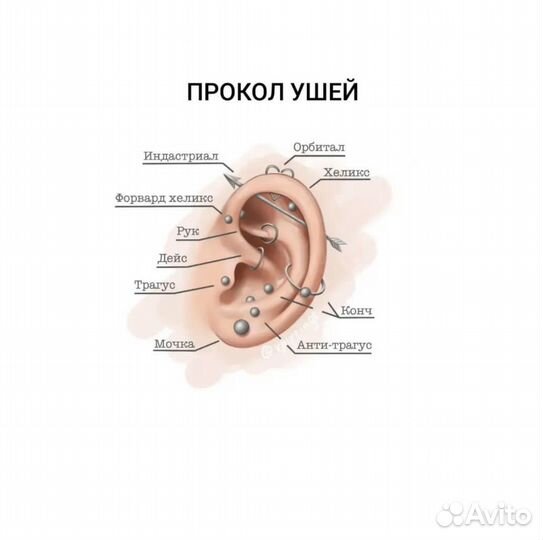 Обучение пирсингу