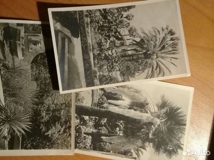 Почтовые карточки СССР. Винтаж