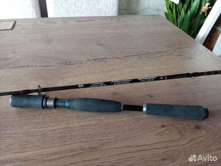 Спиннинг Волжанка и штекерный mifine baalize