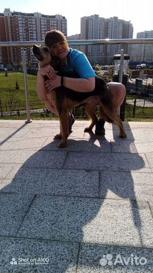 Уборщица с проживанием