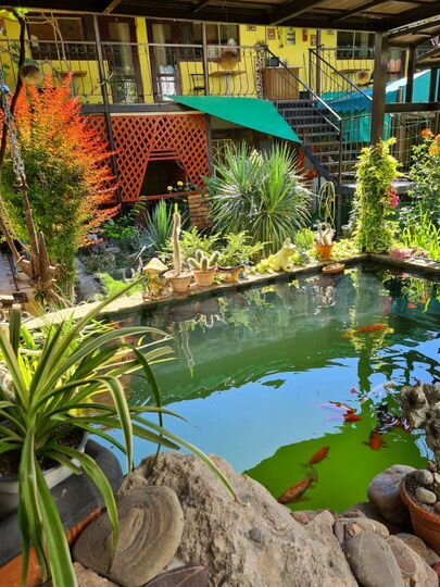 Комната 24 м² в 6-к., 2/3 эт.