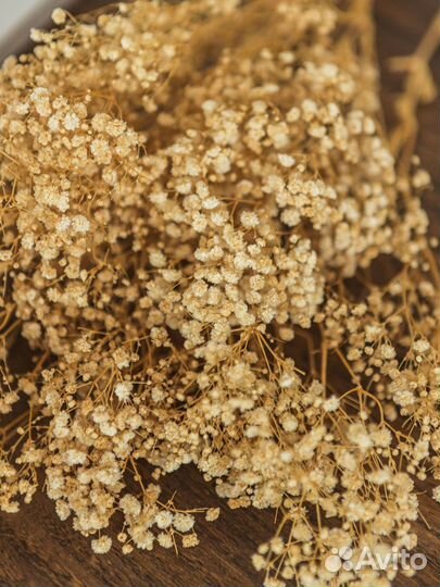 Сухоцвет опт