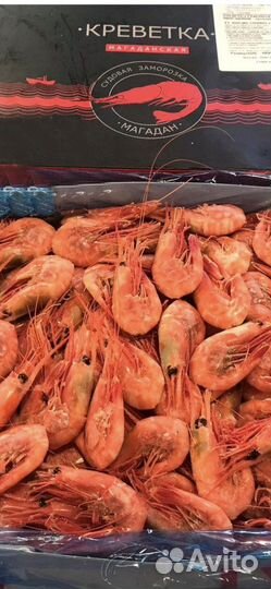 Магаданская креветка