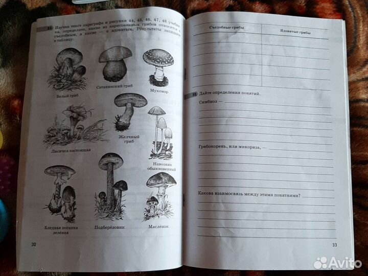 Рабочая тетрадь по биологии 5 класс