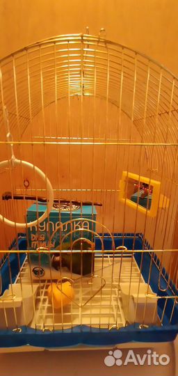 Клетка для попугая