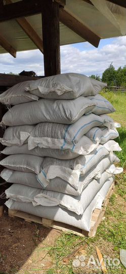 Семена подсолнечника