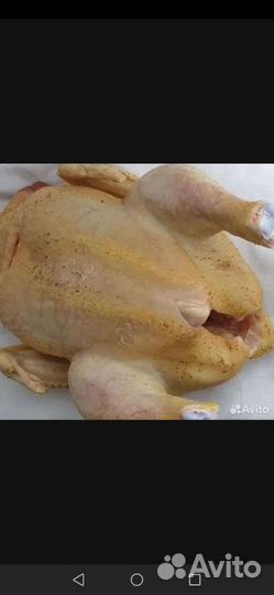 Мясо домашнего бройлера
