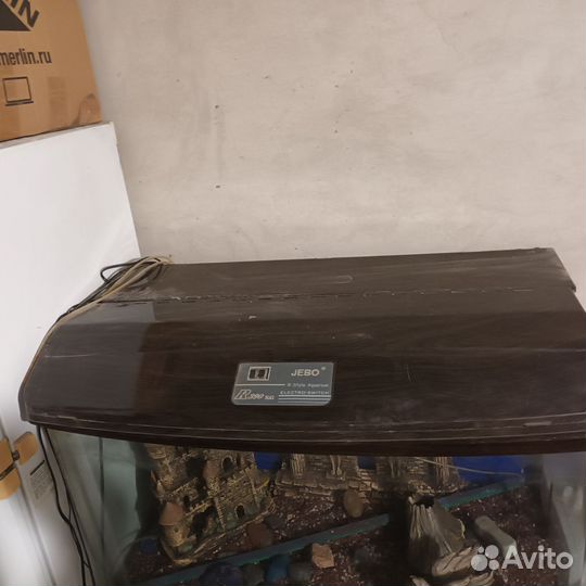 Аквариум террариум