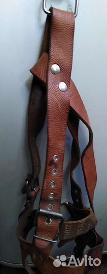 Шлейка ездовая