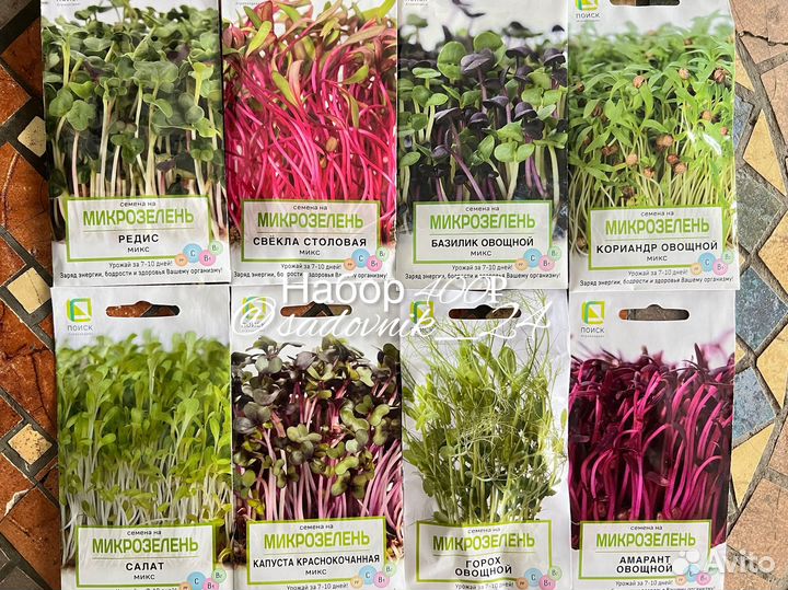 Лук севок, чеснок, семена