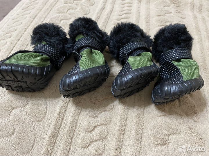 Обувь для собак мелких пород