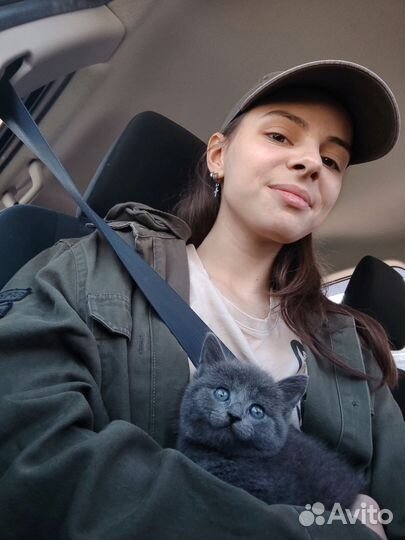 Перевозка животных зоотакси