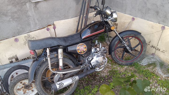 Продам альфу