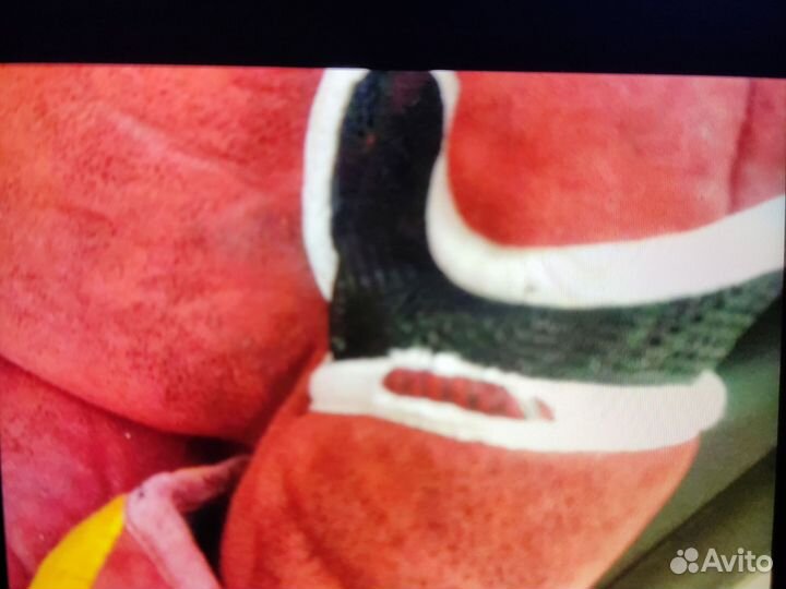 Детское автокресло 15-36 пр.Германии