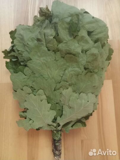 Дубовые веники для бани