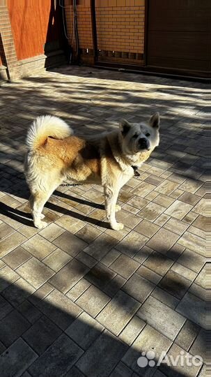 Тротуарная плитка брусчатка новый город