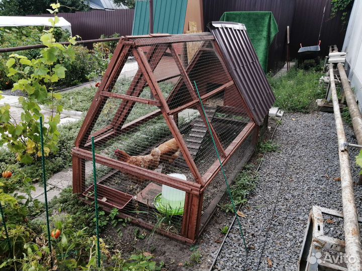 Курятник для кур - мини