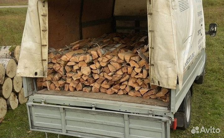 Дрова дубовые