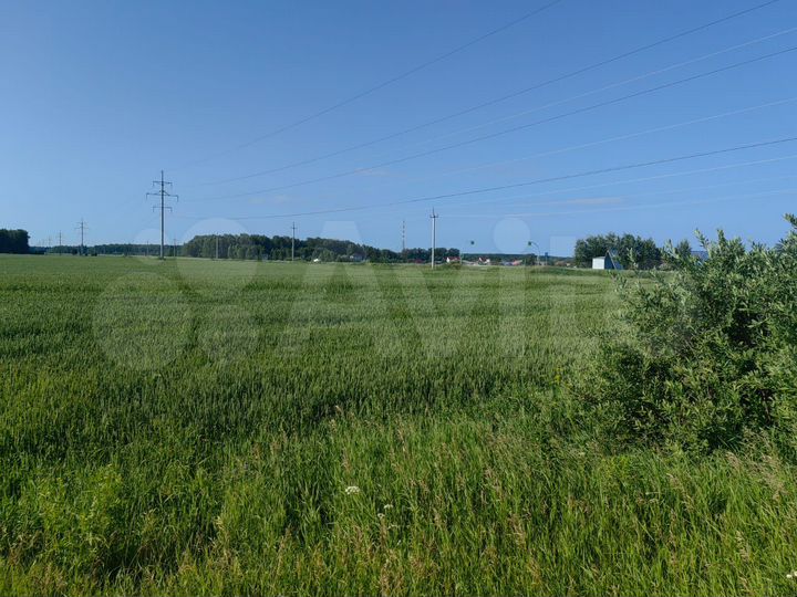 Участок 49,99 га (СНТ, ДНП)