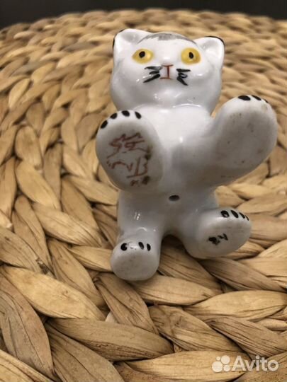 Котёнок. дфз