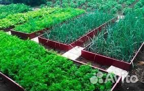 Садовая грядка из оцинкованной стали 2м и 3 м