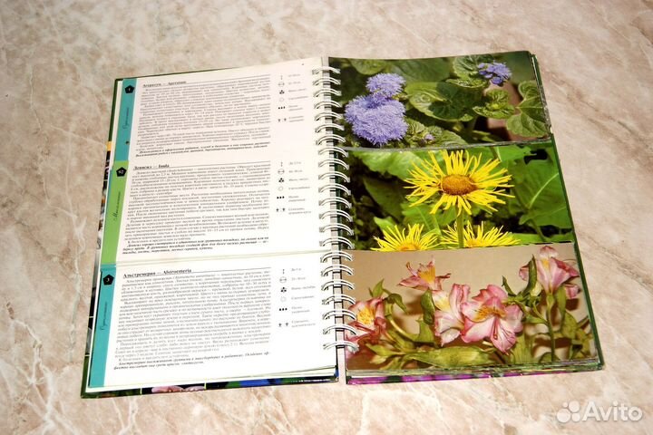 Шикарные книги о даче, о цветах, огороде