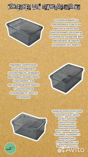 Геккон эублефар