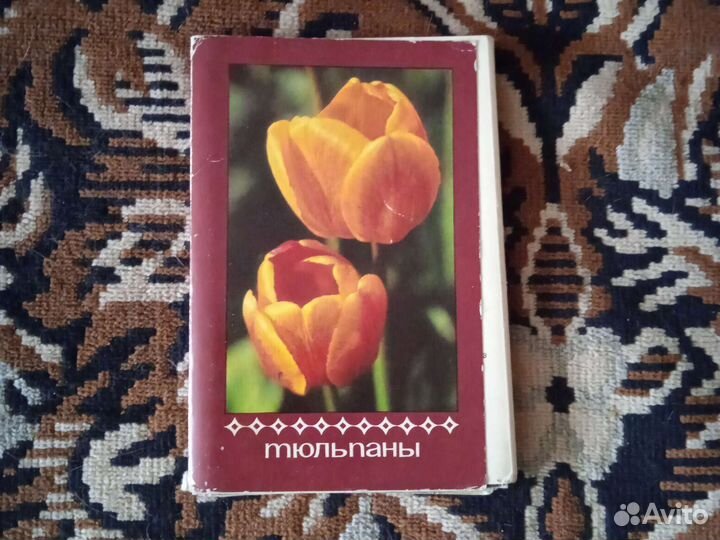 Открытки.Птицы.Тюльпаны