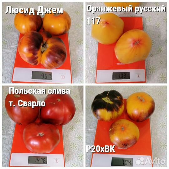 Семена коллекционных сортов томатов