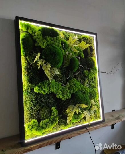 Мох стабилизированный картина со мхом из мха панно