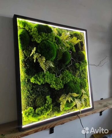 Мох стабилизированный картина со мхом из мха панно