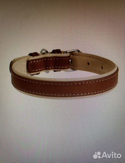 Ошейник и поводок для собаки новые