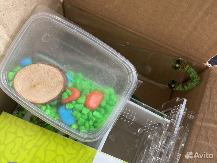 Муравьиная ферма без муравьев