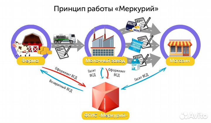 Фгис Меркурий обучение и настройка