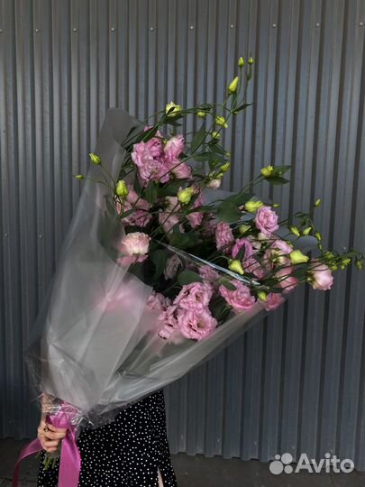 Роза каменная (эустома) доставка цветов