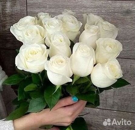 Высокие Розы с Доставкой