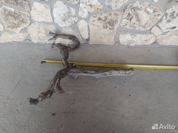 Виноградная лоза коряга