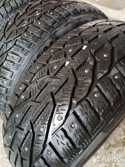 Tigar Ice 205/55 R16