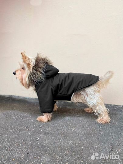 Куртка для собак мелких и средних пород