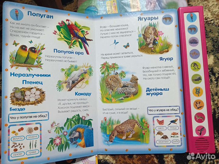 Музыкальная книга