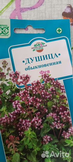 Душица (орегано)